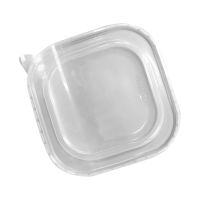 Крышка к контейнеру 175х175х12 мм, прозр., ПП 50 шт/упак 300 шт/кор КИТАЙ Крышка к контейнеру SPB