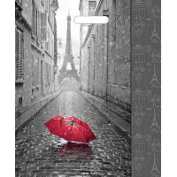 Пакет (мешок) с прорубной ручкой ПВД 450х380мм, 60мкм, "Мой Париж"