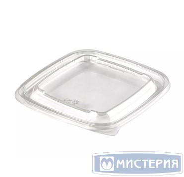 Крышка к контейнеру 160х160х5 мм, прозр., ПЭТ, 50 шт/упак "ЮПласт" 450 шт/кор РОССИЯ ЮпК-1616-К ЮУПМ6032/ЮУПМ6211