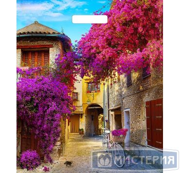 Пакет 380х450 мм, 60 мкм с проруб. ручками, диз. "Итальянский дворик", ПВД, 50 шт/упак "Тикопластик" 500 шт/кор РОССИЯ н00135610