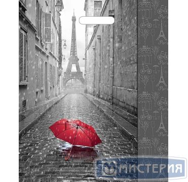 Пакет (мешок) с прорубной ручкой ПВД 450х380мм, 60мкм, "Мой Париж"