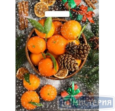 Пакет 310х400 мм, 60 мкм, с проруб. ручками, диз. "Мандарины", ПВД, 50 шт/упак "Тикопластик" 500 шт/кор РОССИЯ н00225308